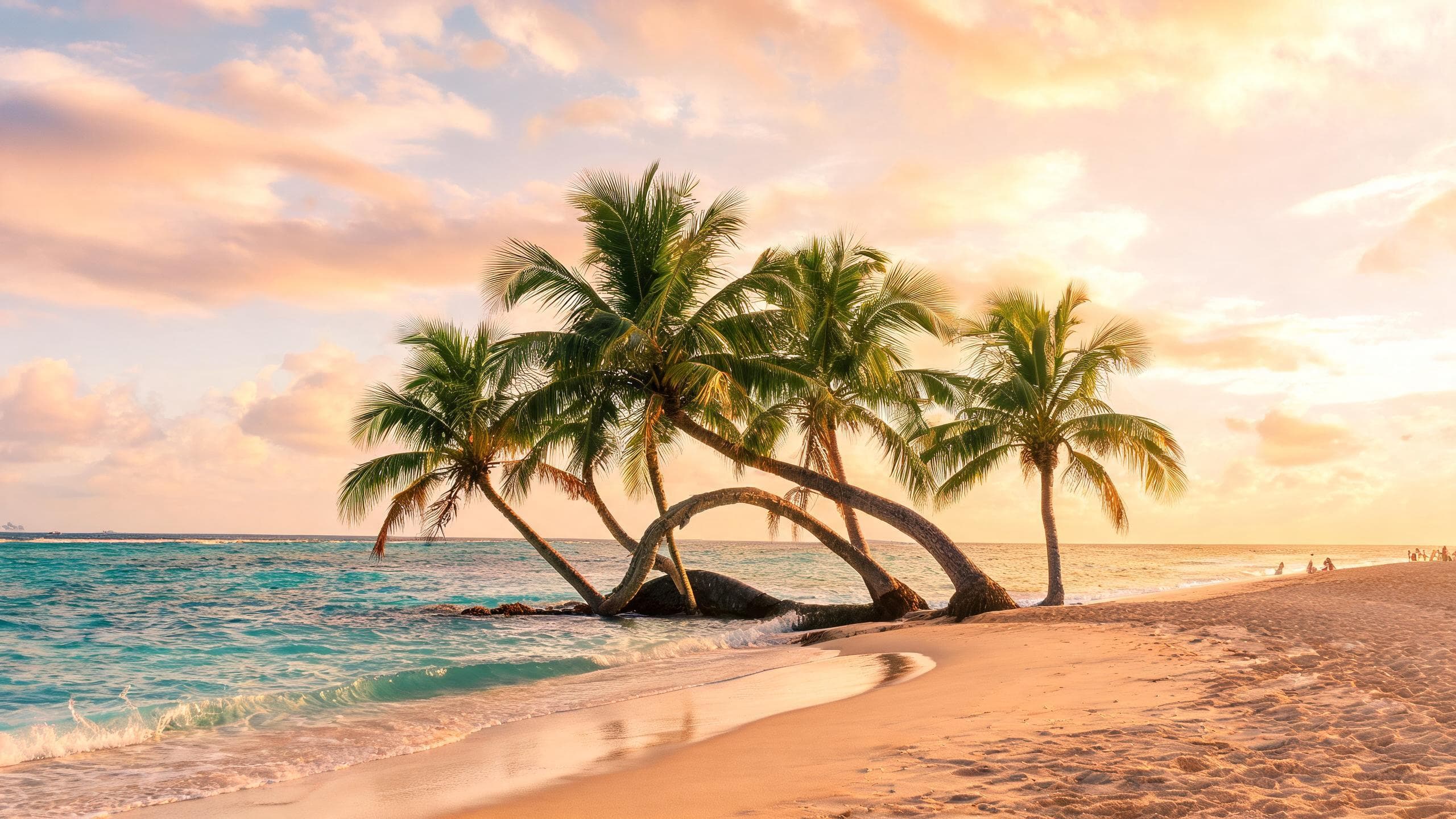 Vista de Dominican Republic