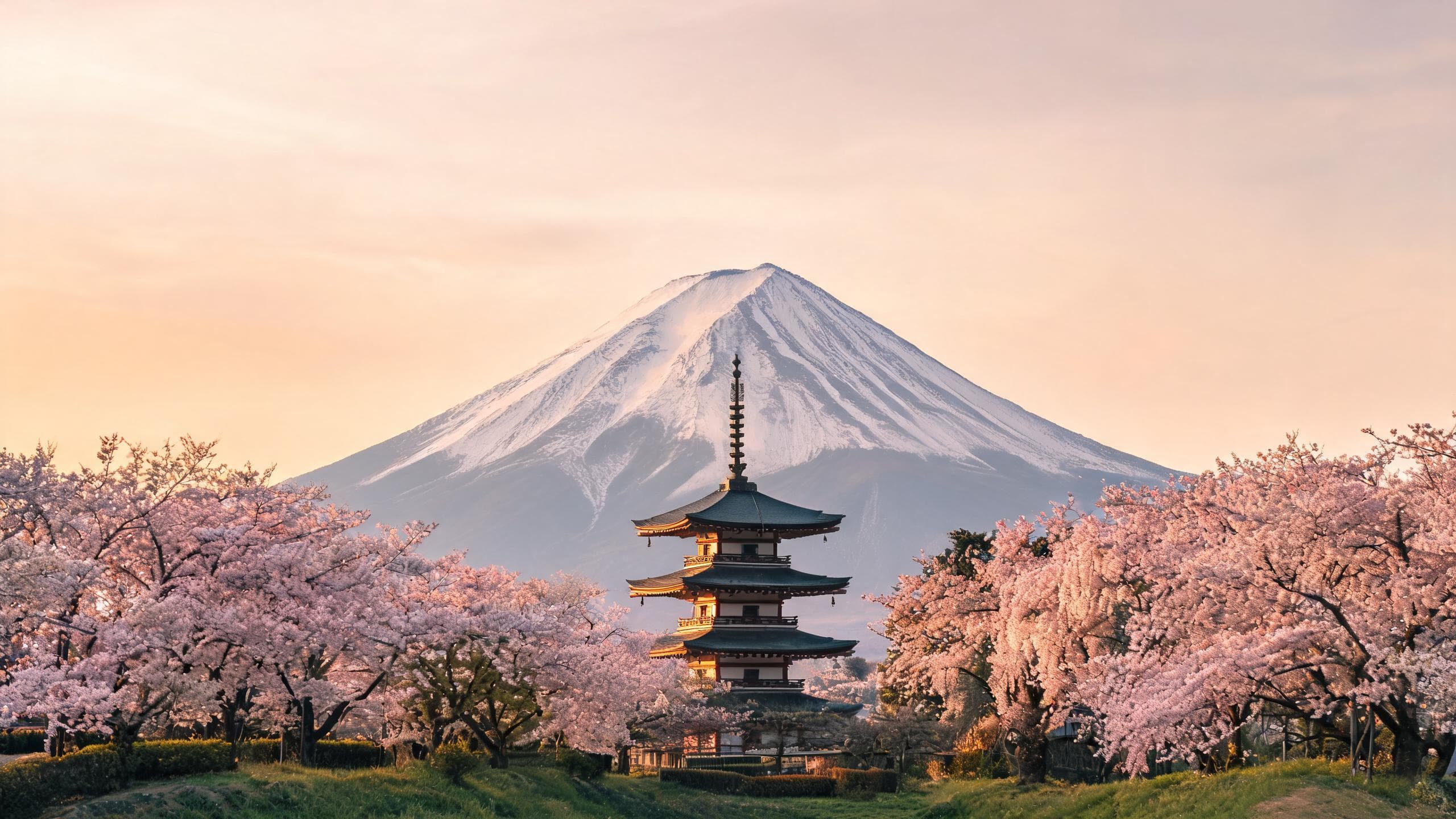 Vista de Japan